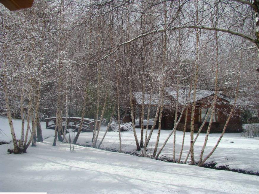 Cabanas En El Corazon Del Bosque San Carlos de Bariloche Room photo