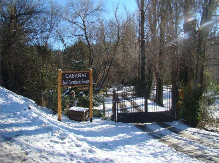 Cabanas En El Corazon Del Bosque San Carlos de Bariloche Exterior photo